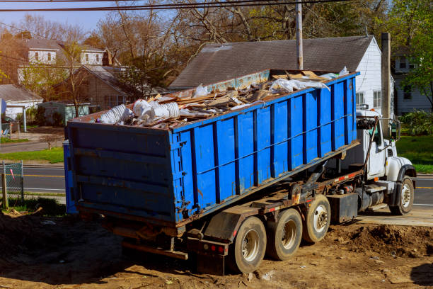 Shed Removal in Lake City, MN